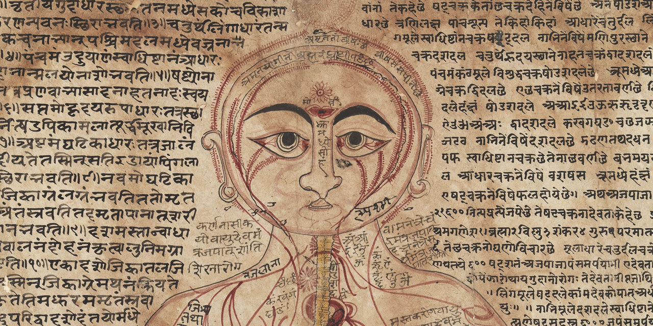 Anne Voigt Vijnana Yoga